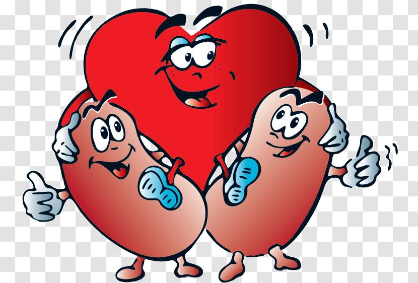 Kidney Failure Chronic Disease Dialysis - Silhouette - Heart Transparent PNG