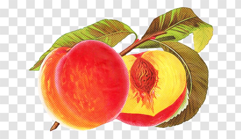 Fruit European Plum Plant Peach Food - Flower Nectarine Transparent PNG