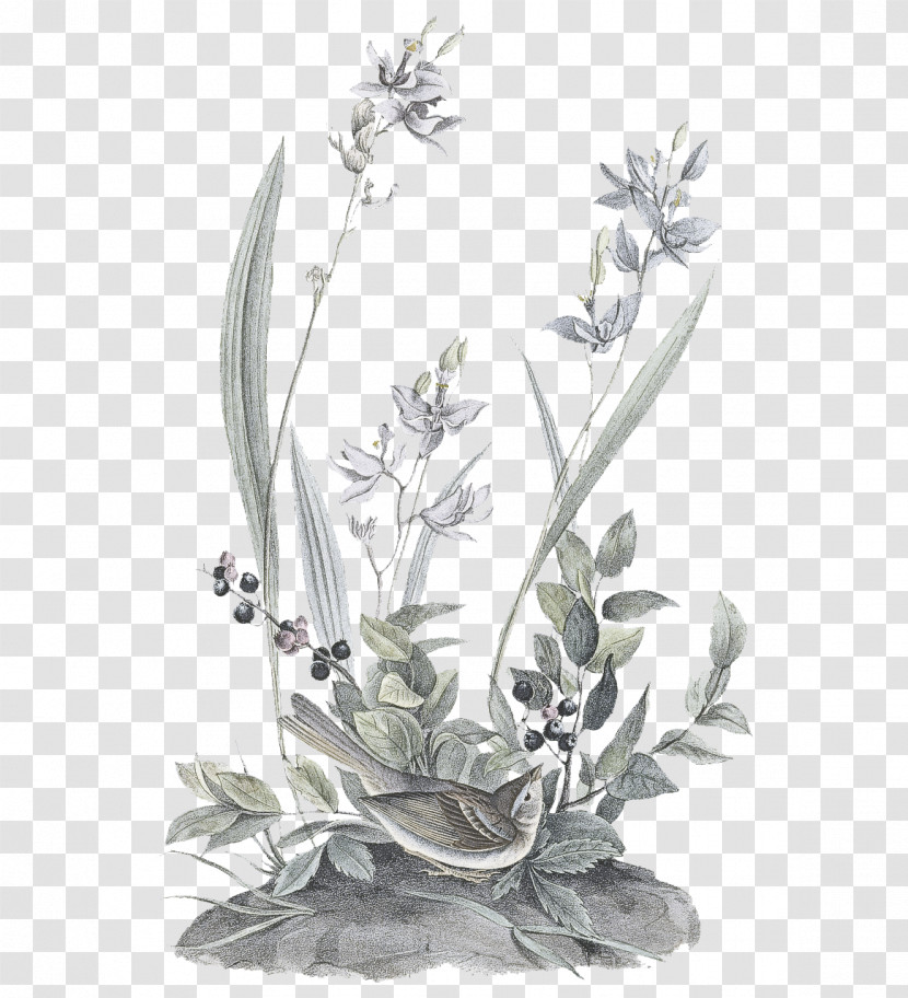 Floral Design Transparent PNG