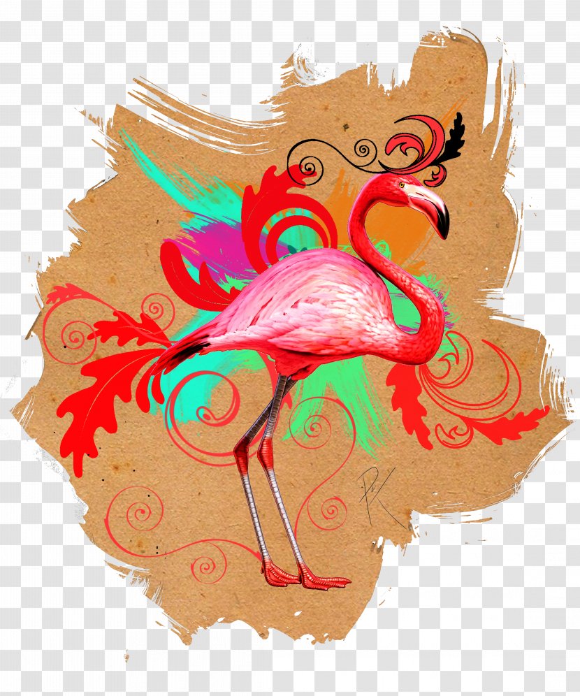 Vertebrate Visual Arts Bird - Frame - Flamingo Transparent PNG