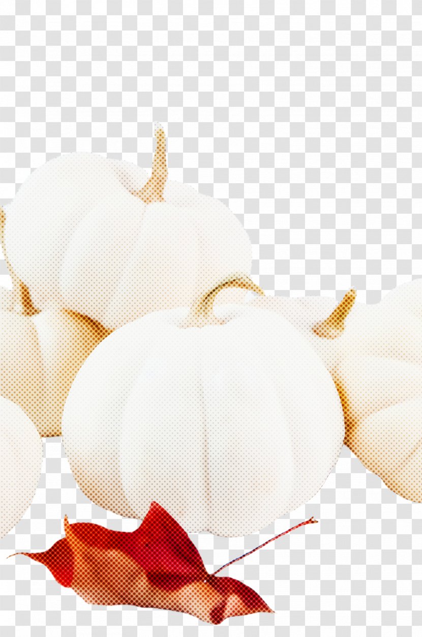 White Vegetable Food Plant Transparent PNG