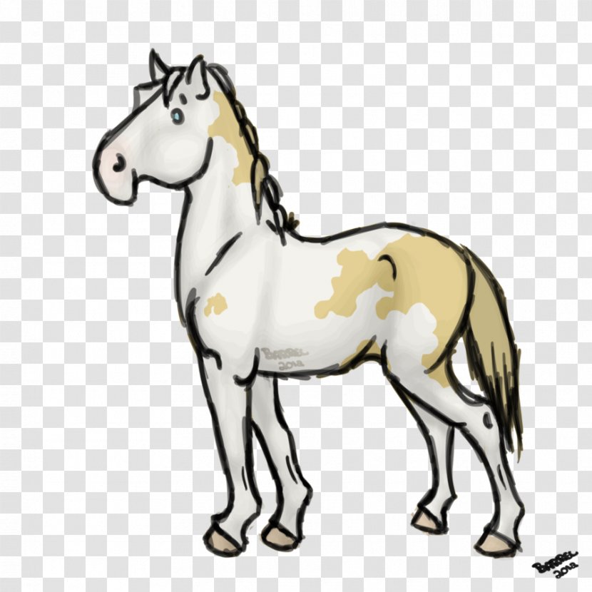 Mule Foal Stallion Mare Colt - Horse - Donkey Transparent PNG
