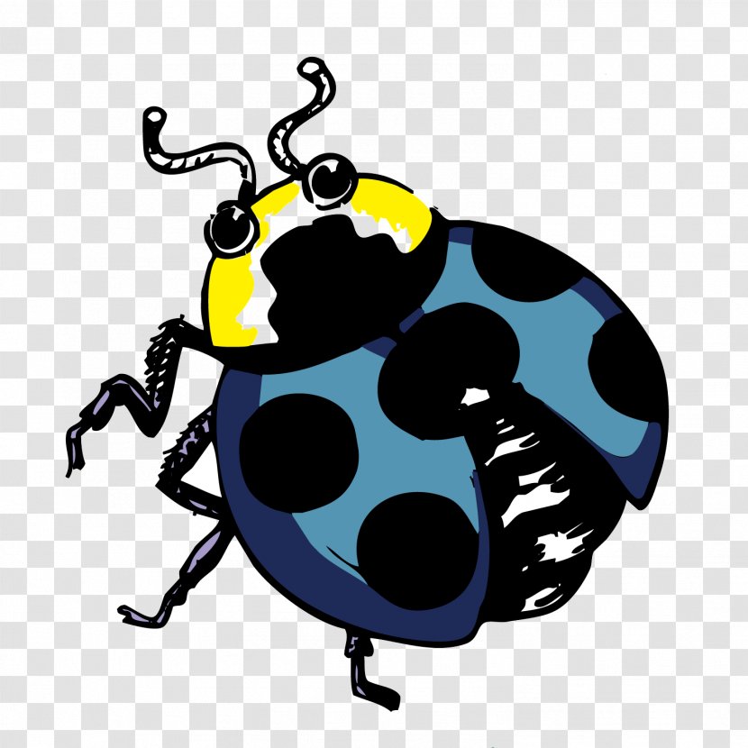 Cartoon Insect Ladybird Illustration - Vector Painted Beetle Transparent PNG