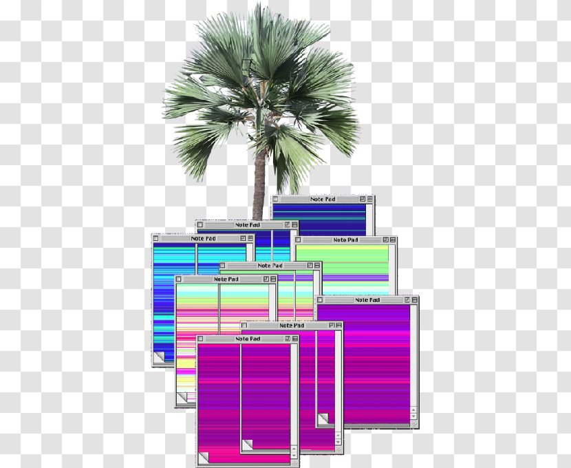 Arecaceae Tree Rendering - Conifers Transparent PNG