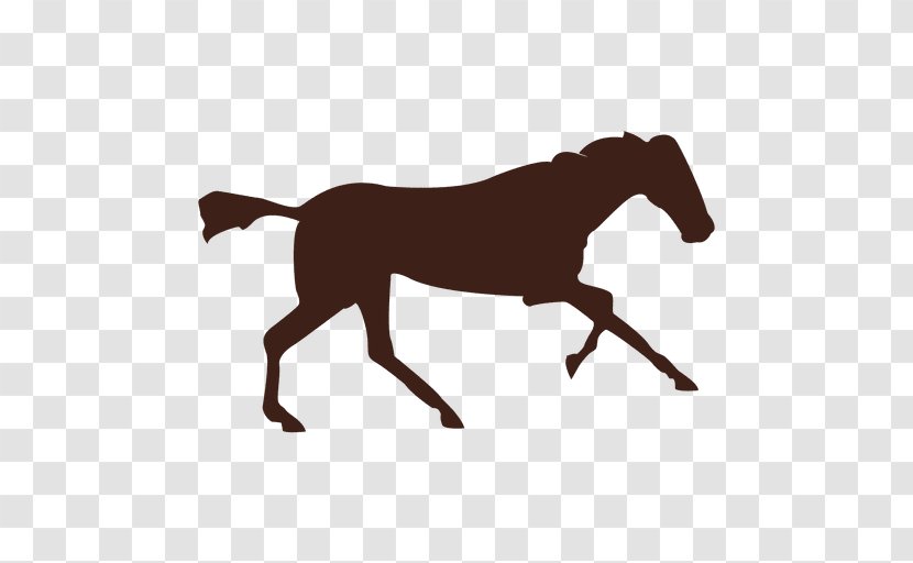 Horse Gallop Mule Photographer Photography - Tail Transparent PNG