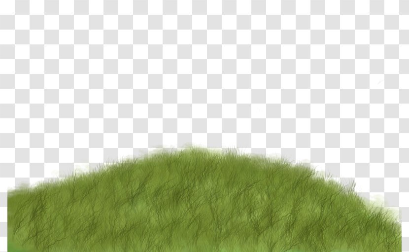Lawn Green Grasses Tree Pattern - Meadow - Creative Grass Transparent PNG