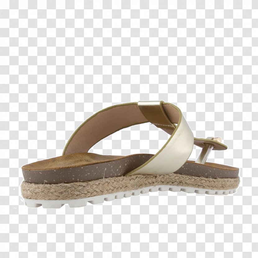 Slide Suede Sandal Shoe Transparent PNG