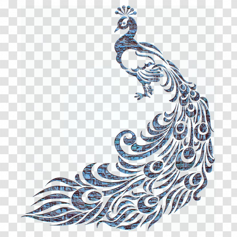 Peafowl Feather Clip Art - Drawing - Pretty Transparent PNG