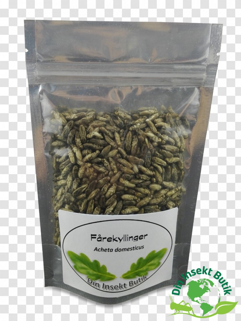 Insect Orthoptera Cricket Hamburger Freeze-drying - Din Insekt Butik Transparent PNG