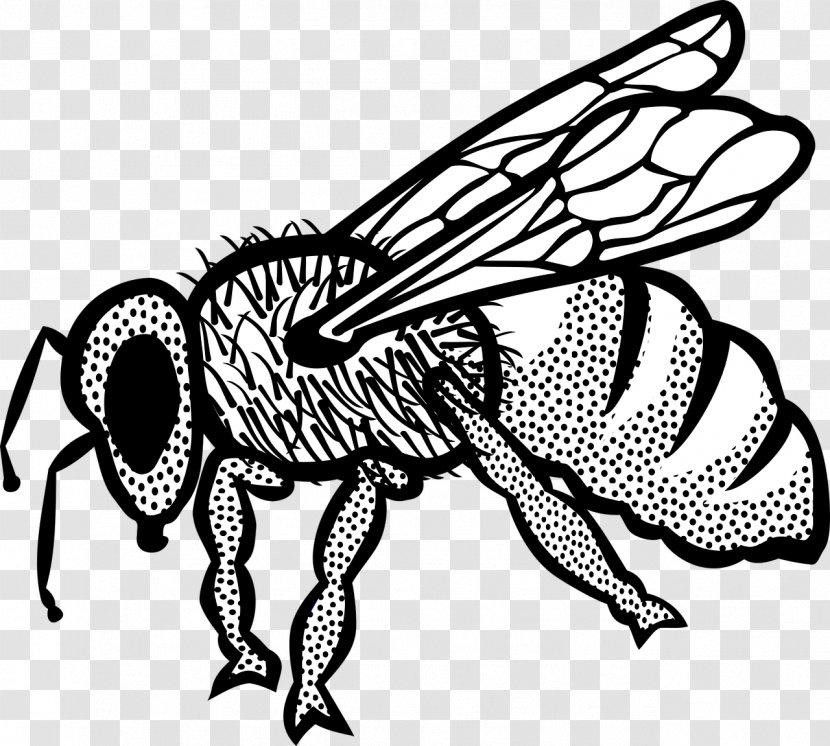 Honey Bee Clip Art - Artwork - Insect Transparent PNG