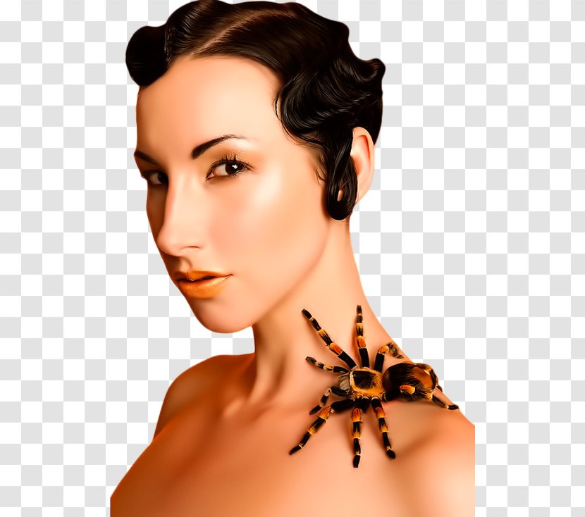 Insect Bee Eyebrow Eyelash Black Hair - Brown - Spider Woman Transparent PNG
