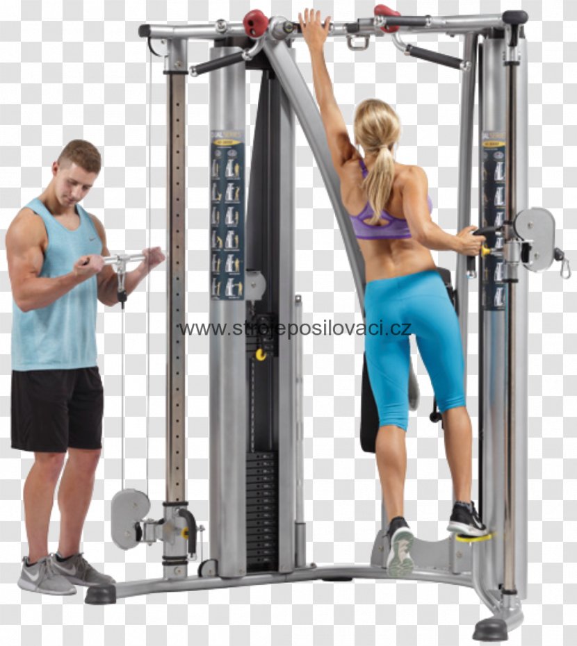 Weight Training Fitness Centre Pulley Machine - Flower - Hoist Equipment Transparent PNG