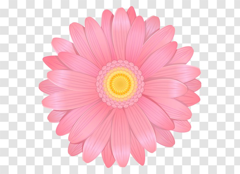 Party Paper Birthday Amazon.com Coat Of Arms - Flower - Daisy Family Transparent PNG