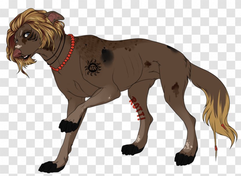 Dog Breed Lion Big Cat - Wildlife Transparent PNG