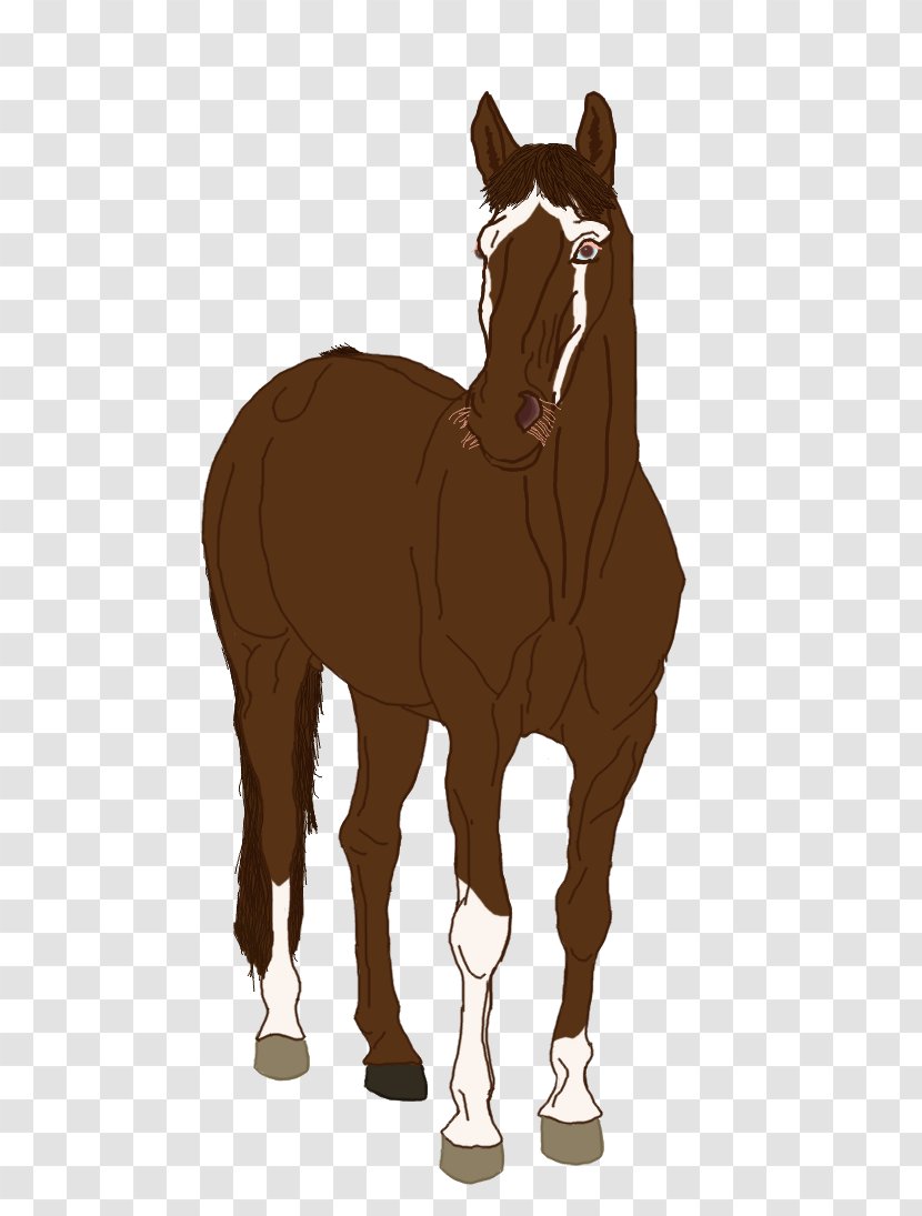 Mule Foal Stallion Mare Halter - Rein - Mustang Transparent PNG