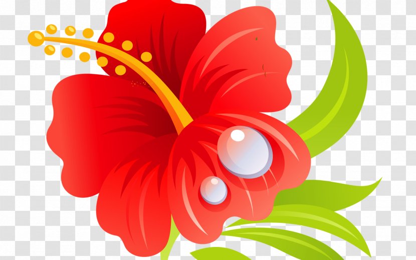 Shoeblackplant Mallows Hawaiian Hibiscus Roselle Clip Art - Drawing - Flower Transparent PNG