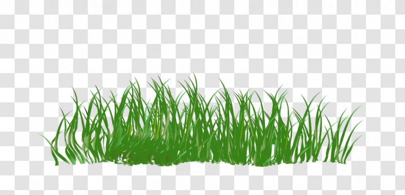 Green Cartoon Download - Designer - Grass Transparent PNG