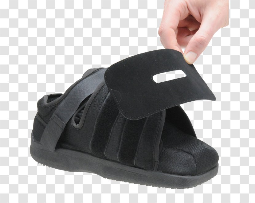 Shoe Sandal Toe Foot Walking - Orthotics Transparent PNG
