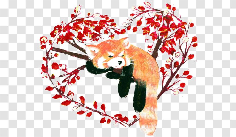 Red Panda Giant Raccoon Clip Art - Drawing - Cartoon Transparent PNG