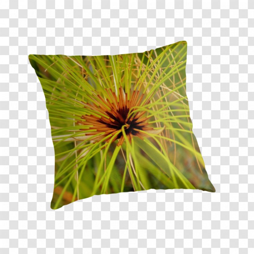 Throw Pillows Cushion - Grass - Papyrus Paper Transparent PNG