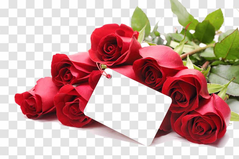 Valentine's Day Propose Love Gift February 14 - Rose Order - Mothers Transparent PNG