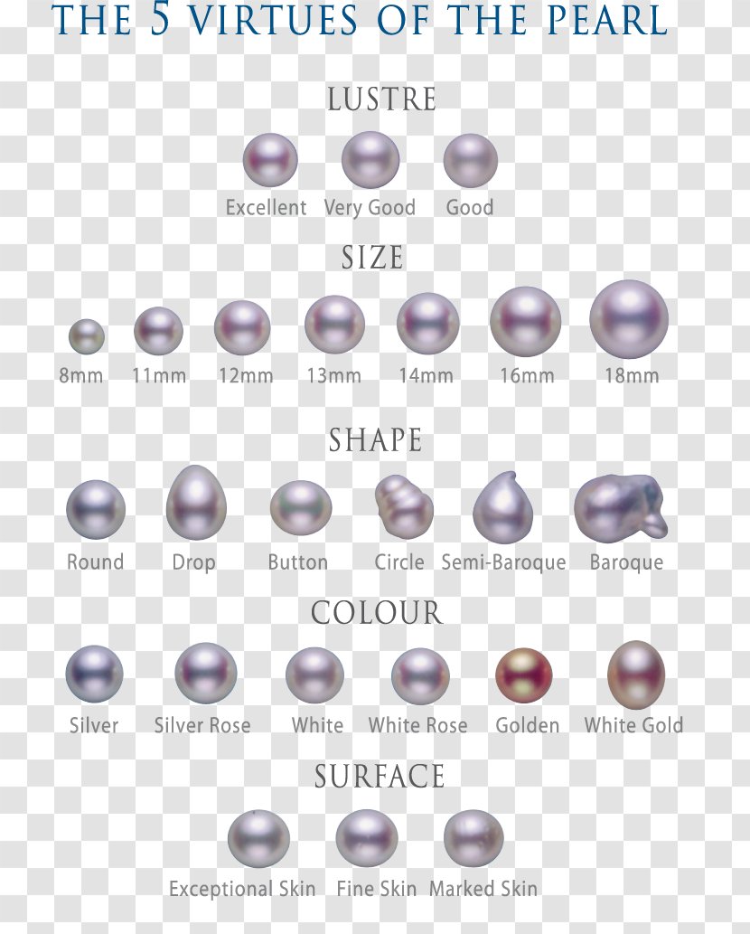 Bead Material Body Jewellery Barnes & Noble Font - Jewelry Making Transparent PNG
