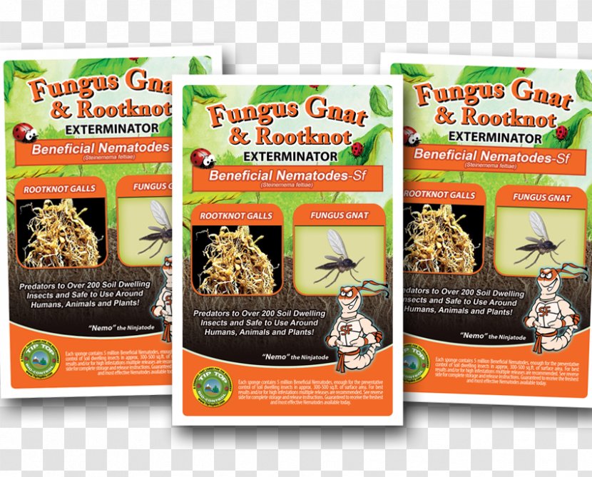 Fungus Gnat Insect Heterorhabditis Bacteriophora Roundworms - Superfood Transparent PNG
