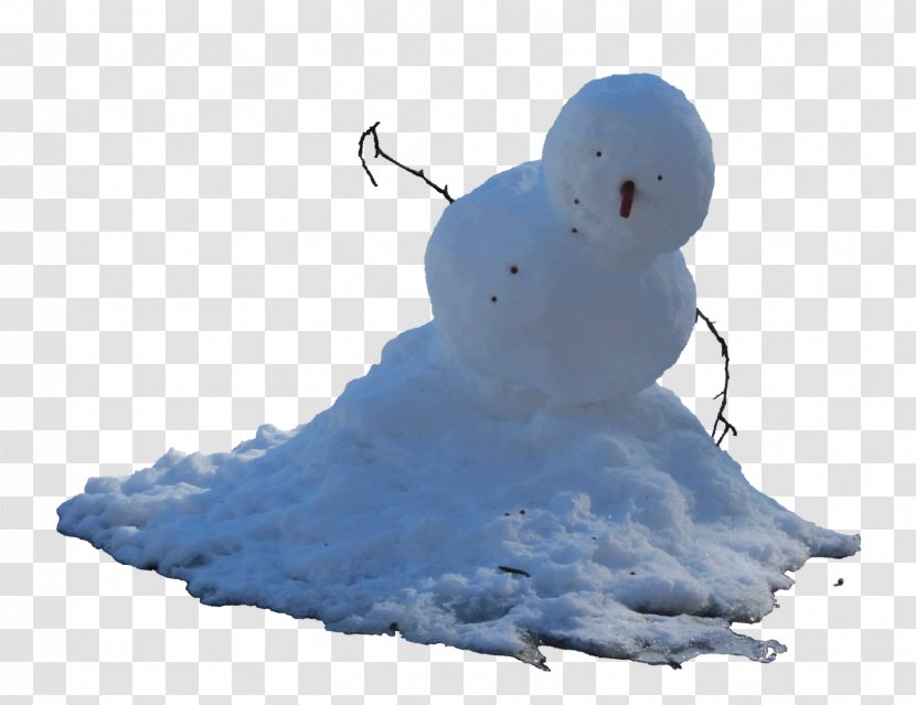 Snowman Pale Man Eye - Winter Transparent PNG