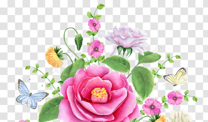 Garden Roses Floral Design Watercolor Painting Stock Illustration Vector Graphics - Cut Flowers - Produtos De Floricultura Transparent PNG
