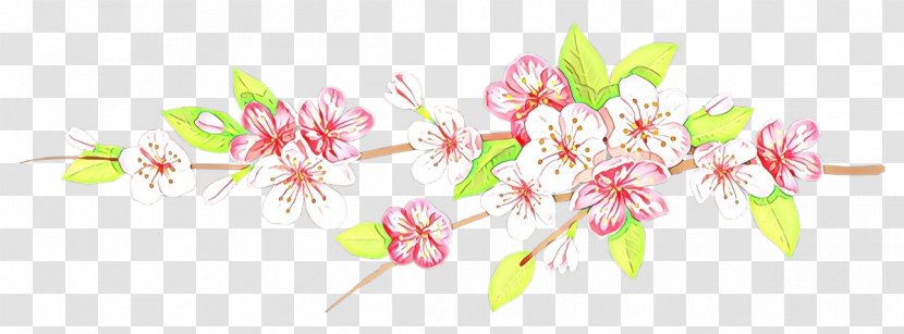 Cherry Blossom - Pink - Cut Flowers Branch Transparent PNG