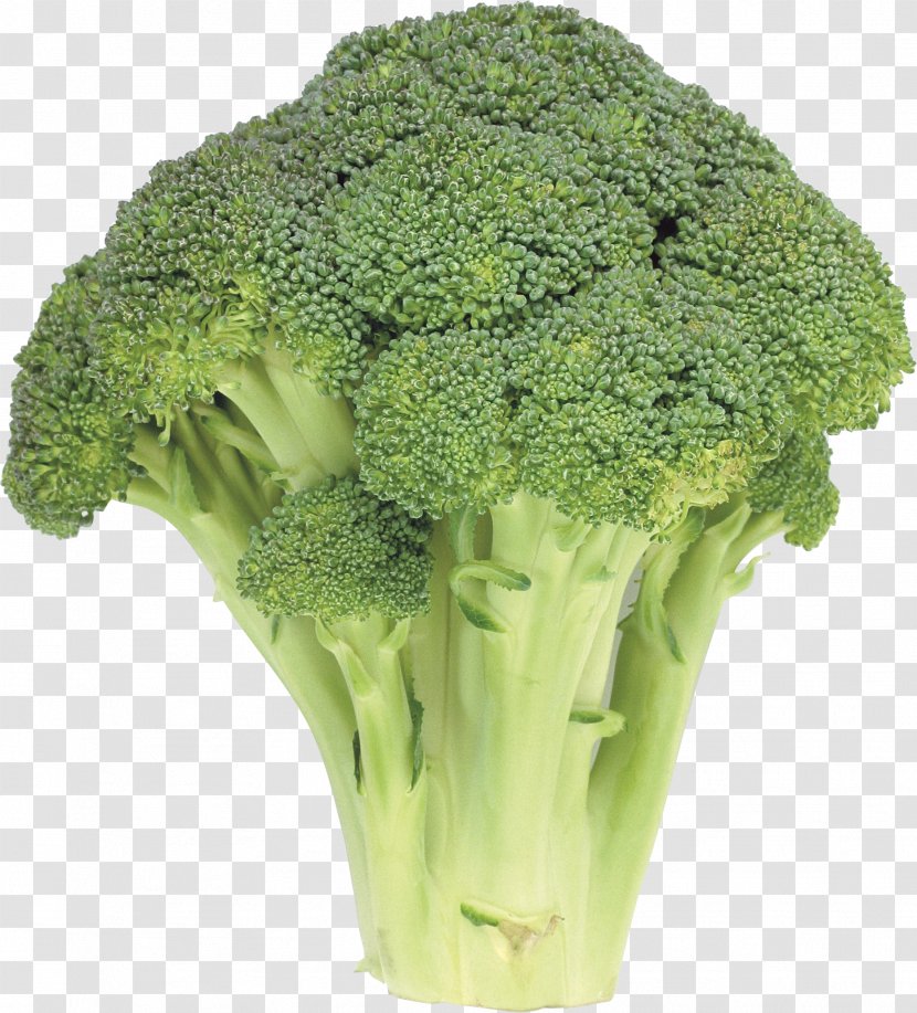 Broccoli Rapini Vegetable - Produce - Image Transparent PNG