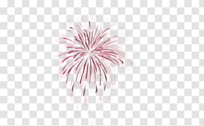 Fireworks Pink Line Event Plant Transparent PNG