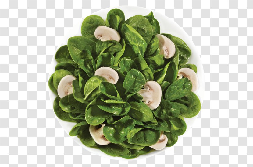 Spinach Salad Pasta Vegetarian Cuisine Al Dente - Leaf Vegetable Transparent PNG