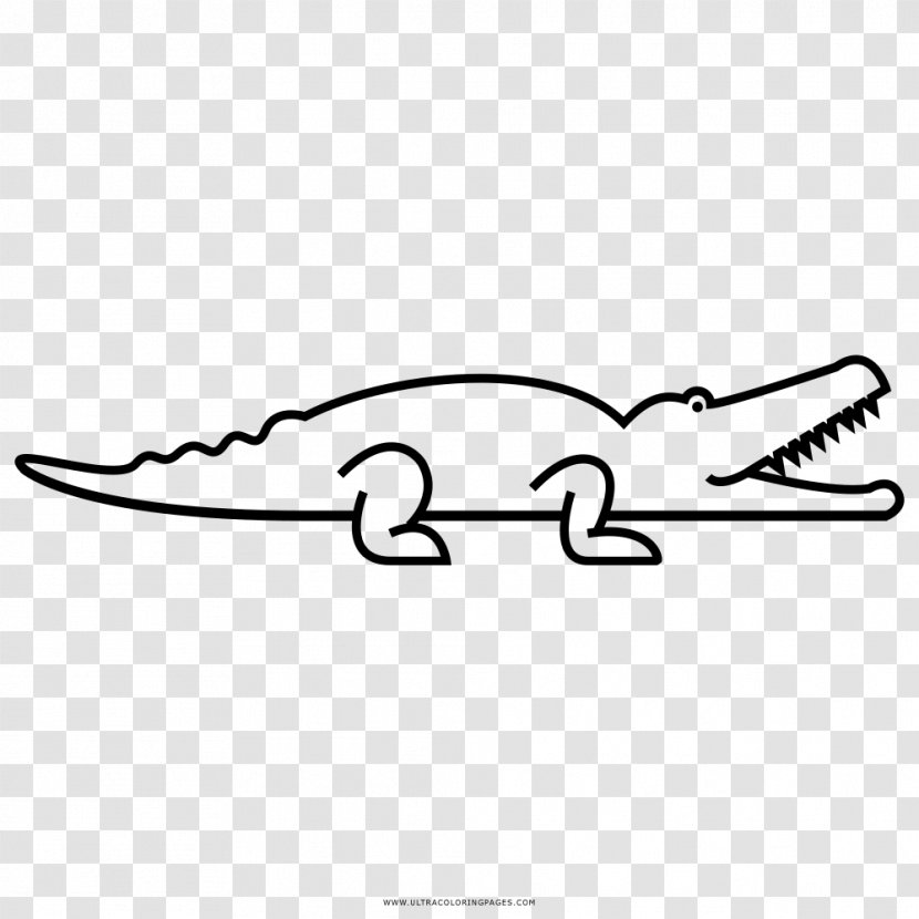 Crocodiles Coloring Book Drawing American Alligator - Carnivoran - Crocodile Transparent PNG
