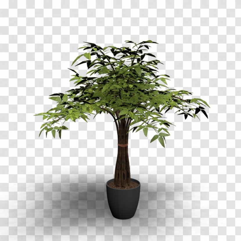 Tree Table Flowerpot Houseplant - Planning - Plants Transparent PNG