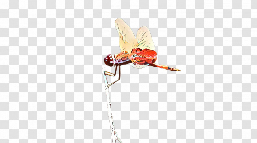 Insect Pest Dragonflies And Damseflies Beige Plant Transparent PNG