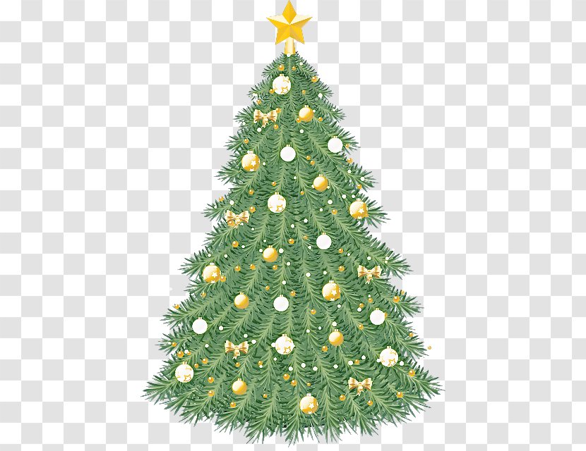 Christmas Tree - Oregon Pine - Shortleaf Black Spruce Ornament Transparent PNG
