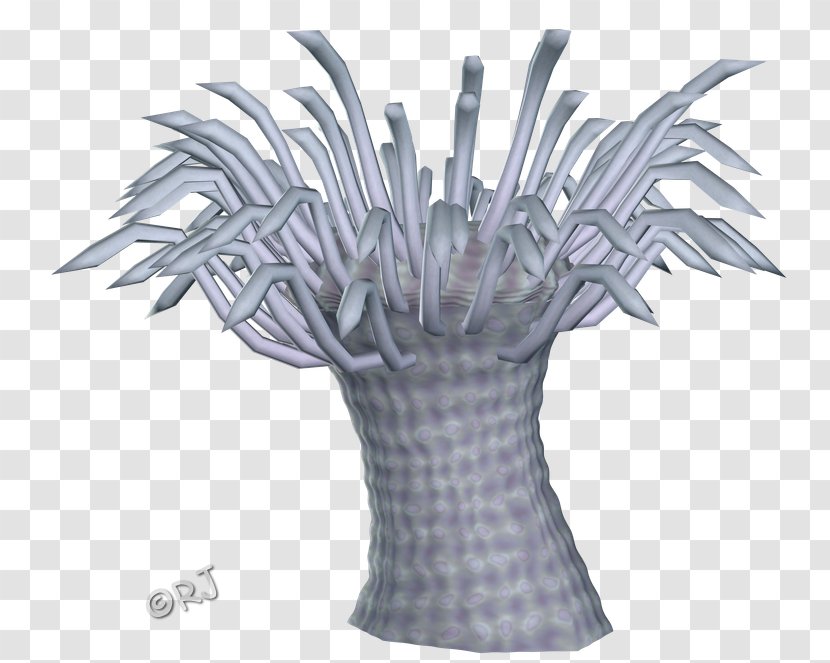 Flowerpot Vase Tree Plant - Anemone Transparent PNG