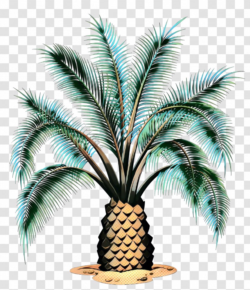 Vector Graphics Stock Illustration Royalty-free Palm Trees - Houseplant - Woody Plant Transparent PNG