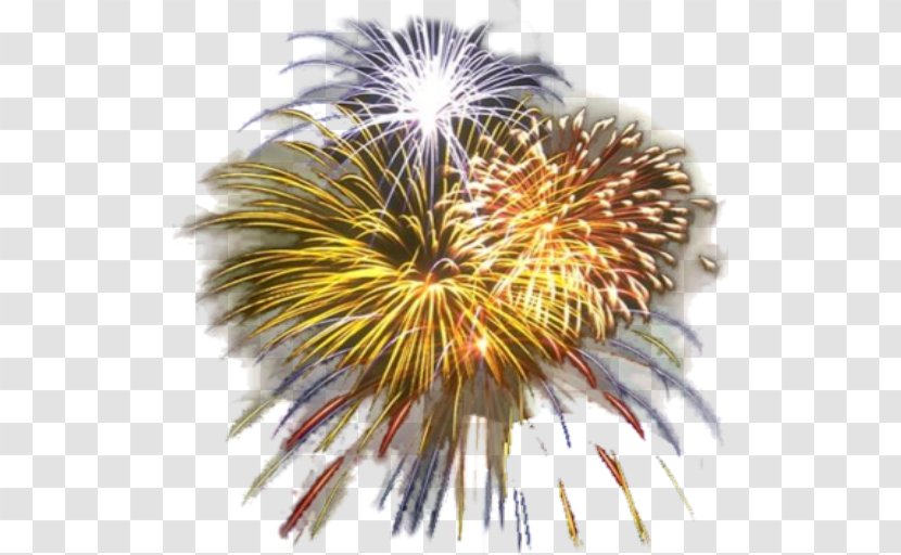 New Year's Eve Fireworks Image Desktop Wallpaper - Year Transparent PNG