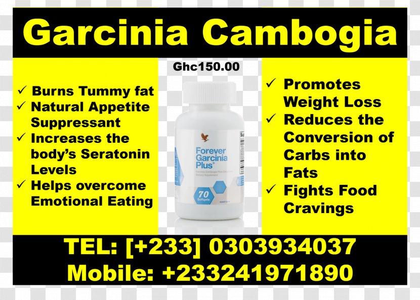 Garcinia Gummi-gutta Weight Loss Dietary Supplement Anorectic Health - Liquid - Drinkware Transparent PNG