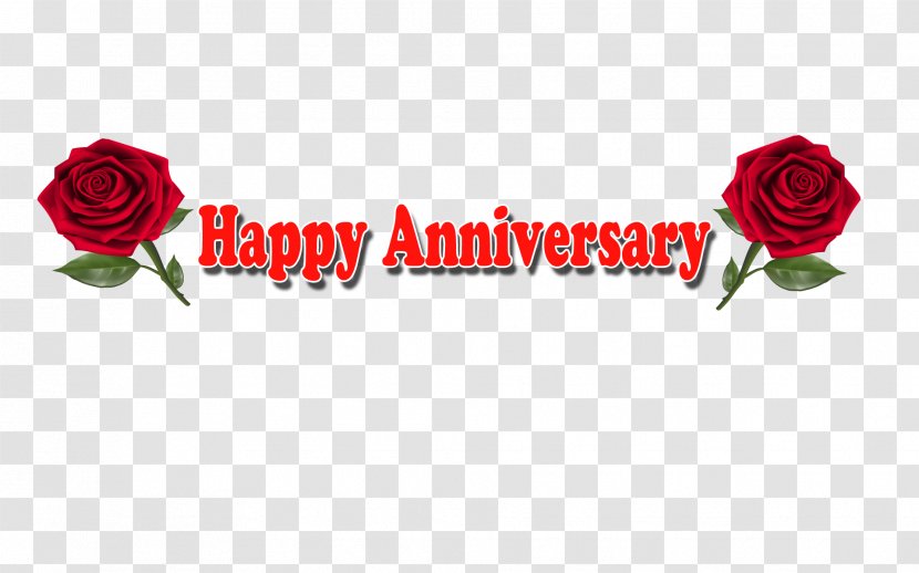 Garden Roses Love YouTube Desktop Wallpaper - Flower - Happy Anniversary Transparent PNG