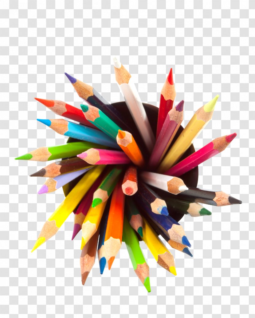 Colored Pencil Drawing Royalty-free - Color - Pencils Transparent PNG