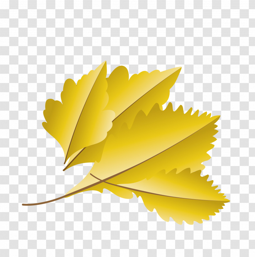 Leaf Yellow Biology Plants Science Transparent PNG