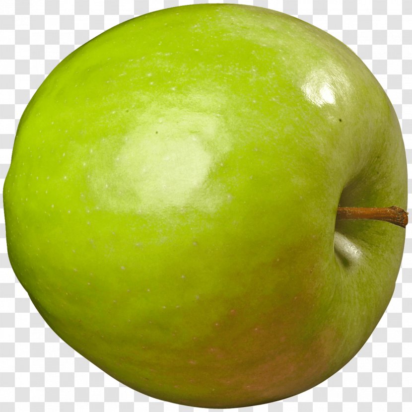 Granny Smith Gravenstein Apple Belle De Boskoop Honeycrisp Transparent PNG