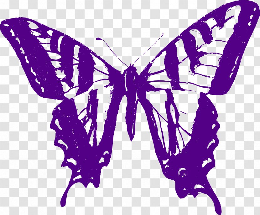 Butterfly Papilio Multicaudata Violet Clip Art - Invertebrate - Purple Transparent PNG