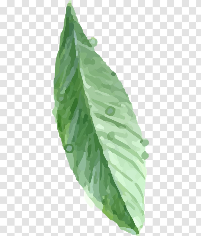 Leaf ArtWorks - Botany Transparent PNG