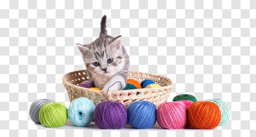 Cat Kitten Yarn Thread Crochet Transparent PNG