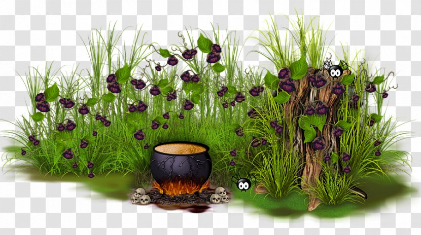Flowerpot Grasses Herb Purple - Flower - Bubble Cluster Pre Writing Ideas Transparent PNG