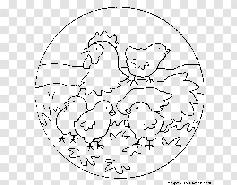 Mandala Coloring Book Bear Child - Frame Transparent PNG